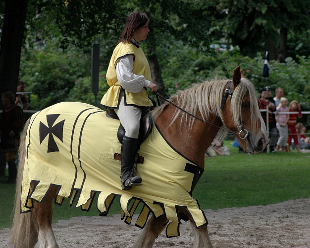 2005_0813 (02).JPG - Uppvärmning inför Riddarspelet